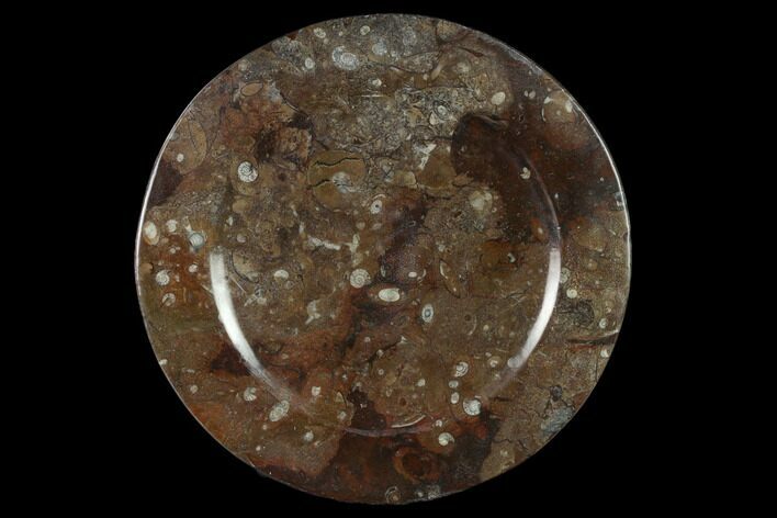 Fossil Orthoceras & Goniatite Round Plate - Stoneware #133553